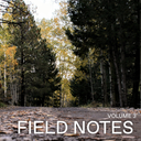 Field Notes 003 - November 2025