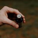 Northern Wind Beard Oil - Bergamot, Cedar, Lavendar